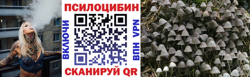 Псилоцибиновые грибы GOLDEN TEACHER Мураши